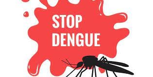 Dengue Control